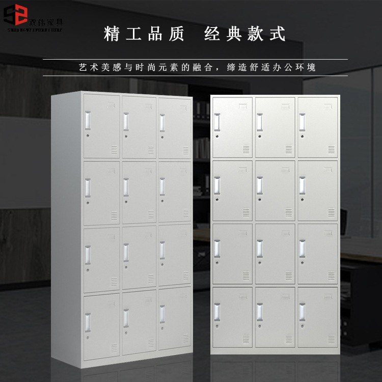 十二门 员工储物柜 双伟定制家具 加厚钢板员工柜子批发