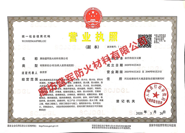 营业执照 (1)