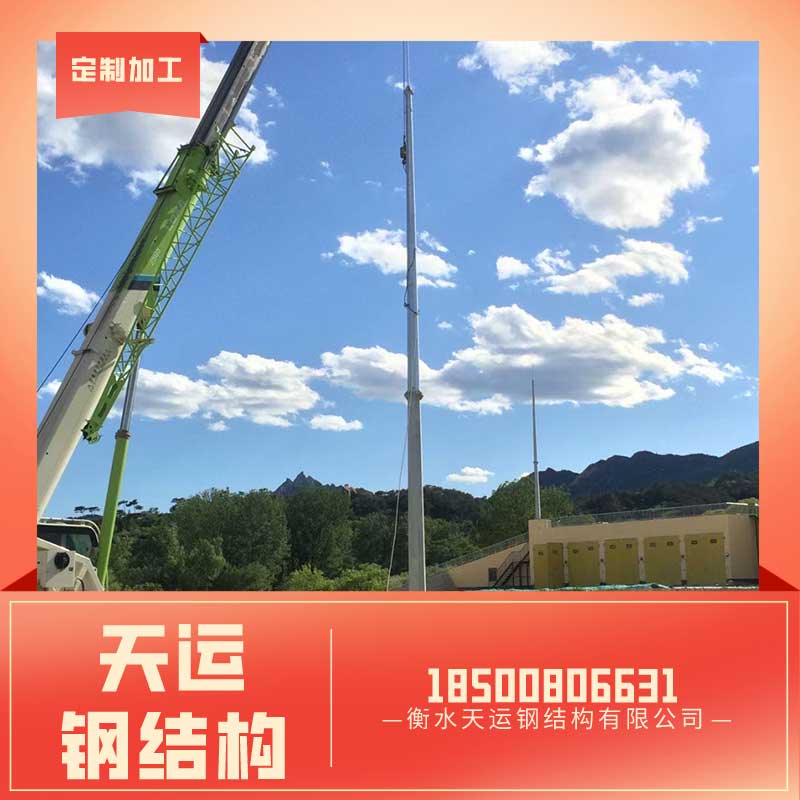 独立避雷针 (16)