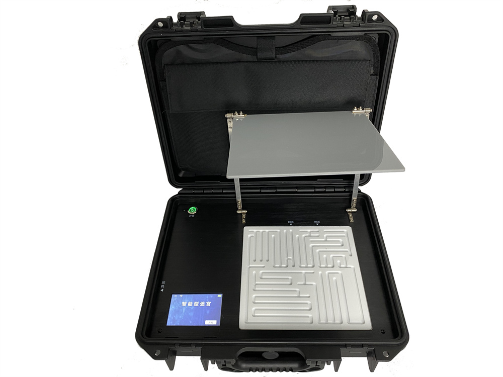 智能迷宫训练仪