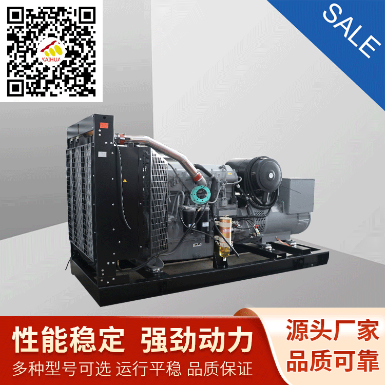 帕金斯发电机组 (14)