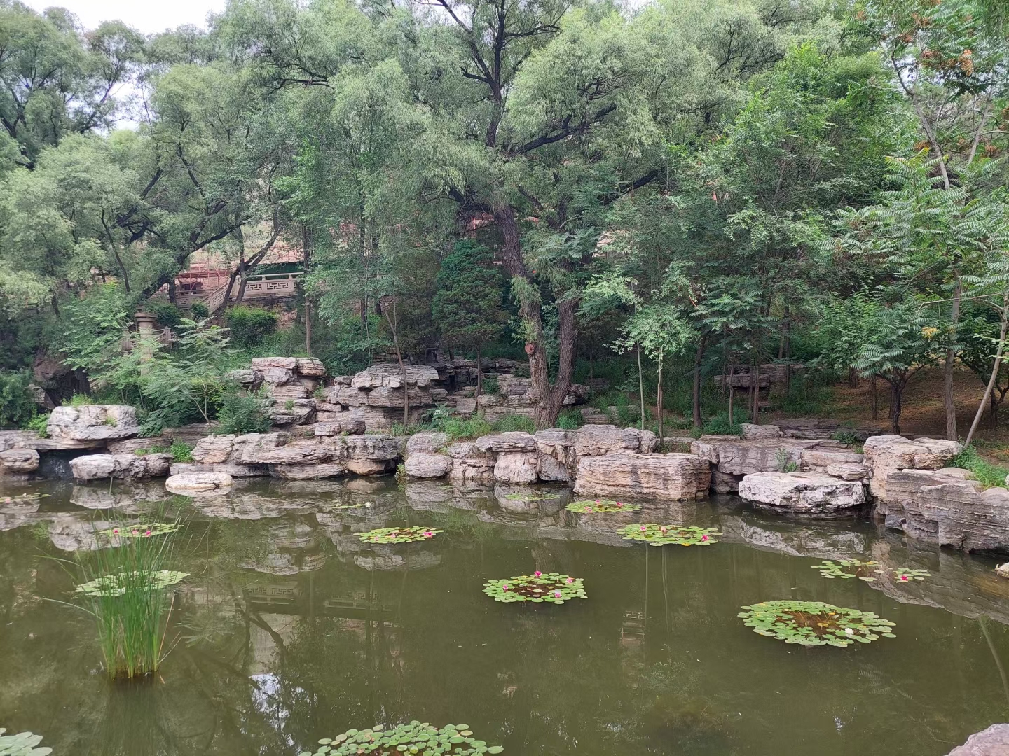 驳岸石鹅卵石河滩石水冲石山石自然石工程造景