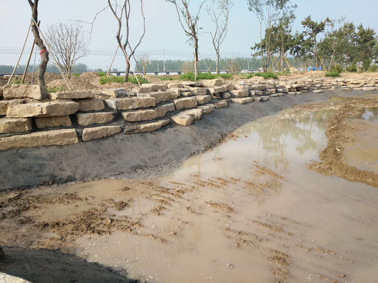 驳岸石鹅卵石河滩石水冲石山石自然石造景石天然