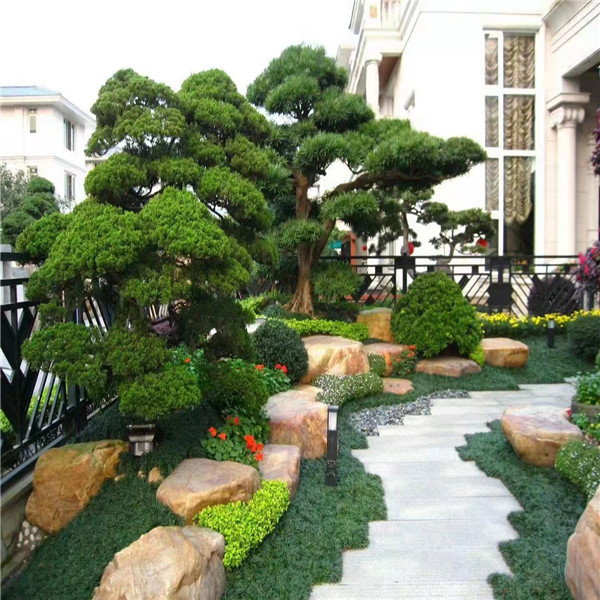 黄蜡石景观石园林假山点景石门牌石草坪点景池边造景大型黄石景石