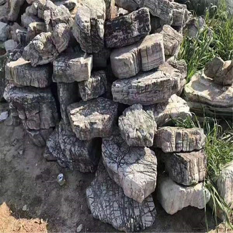 龟纹石天然原石草坪点缀观景造景石头园林景观水系点缀