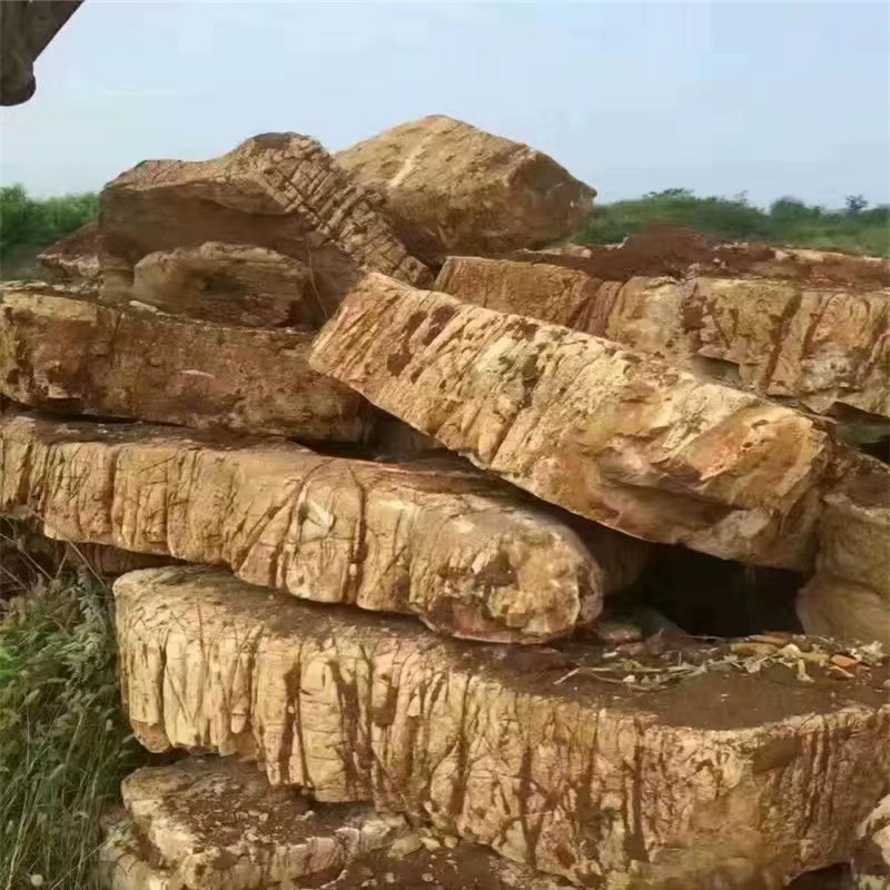 龟纹石天然原石千层草坪点缀观景造景石头园林景观水系点缀