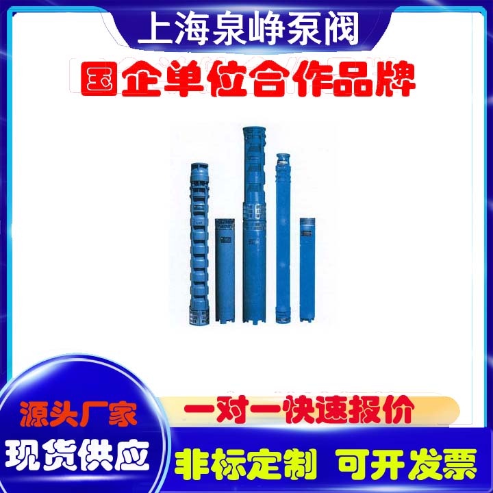 潜水泵 (11)
