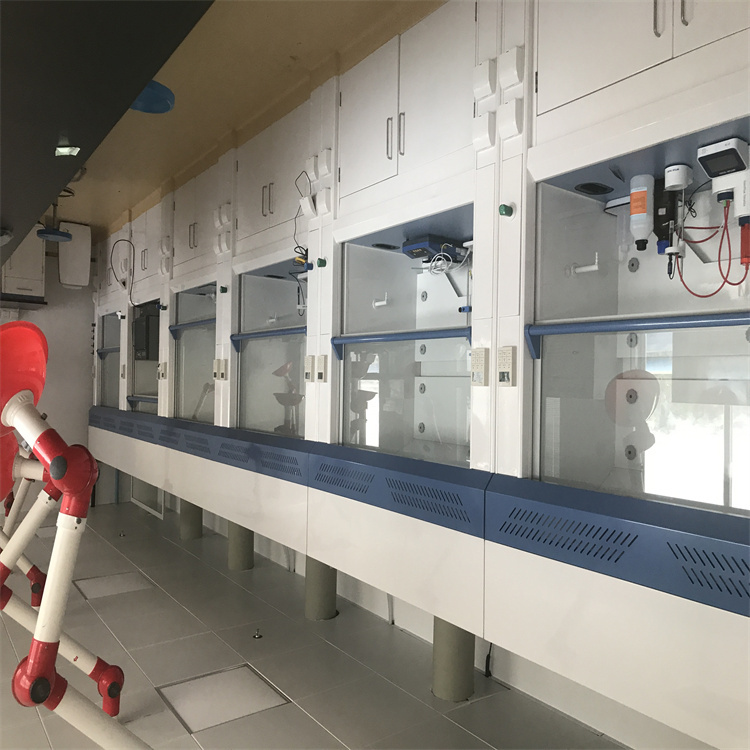 全钢定制 通风柜 实验室家具工程