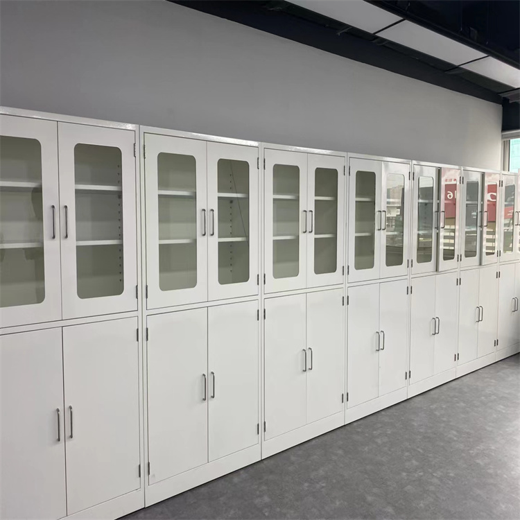 试剂柜 多种规格 实验室家具