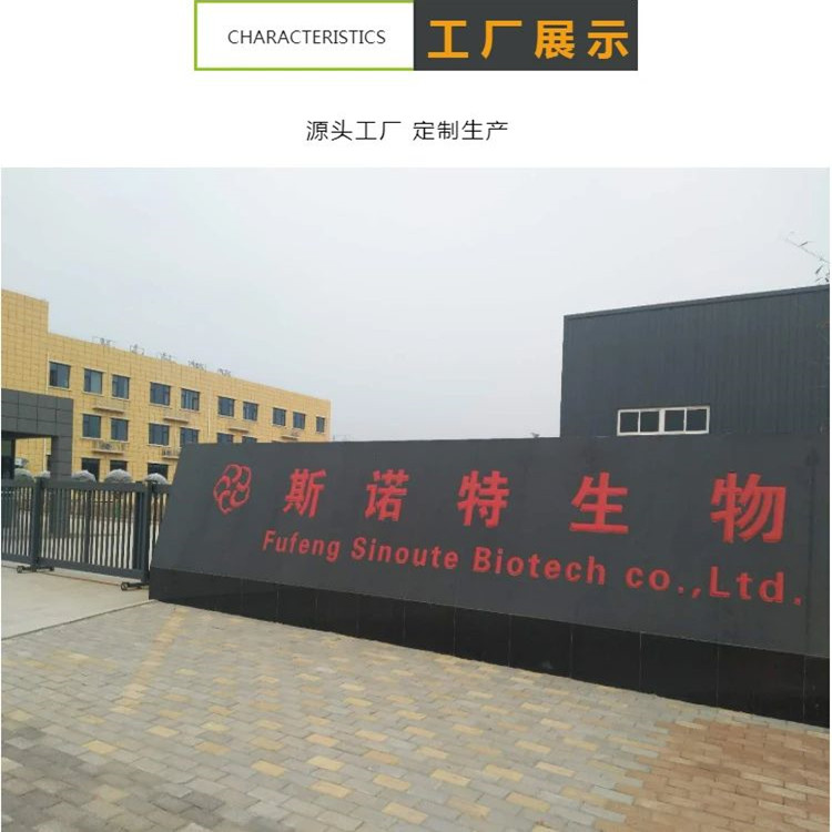 公司大门 (8)
