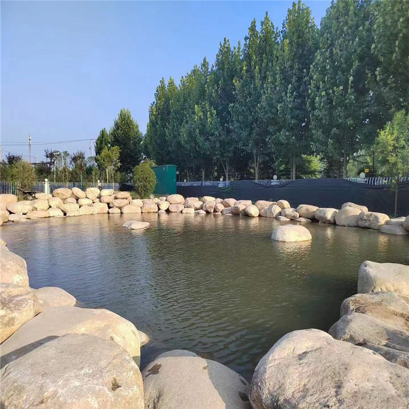 大型园林鹅卵石驳岸石水冲石河滩石河道河卵石挡土点景石