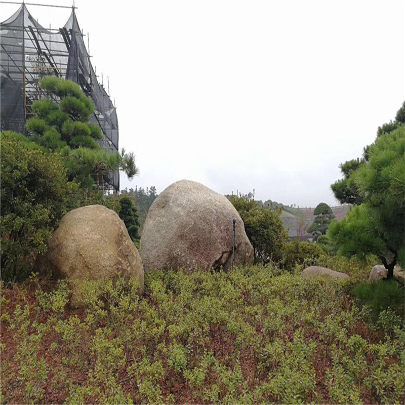 草坪置石点缀石园林点景石假山景观石小区园林绿化石材踏步石