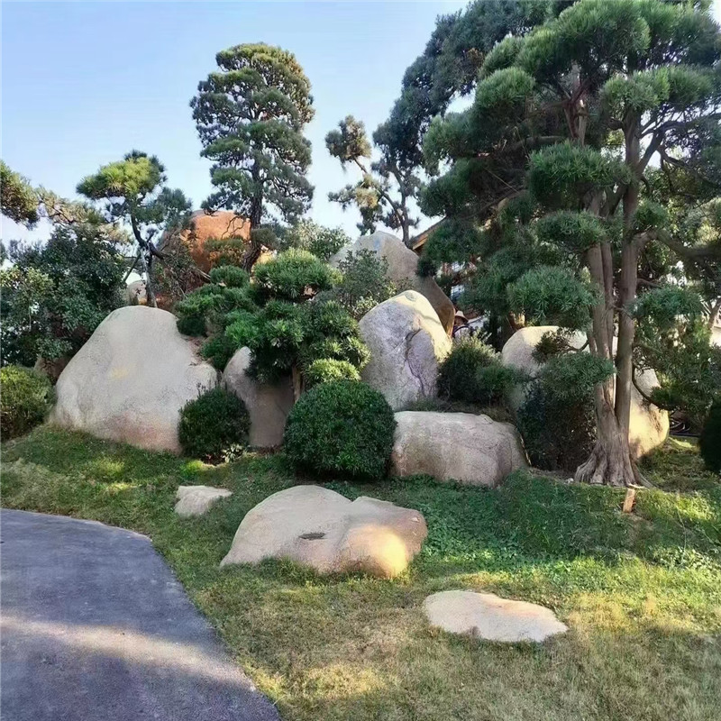 小区草坪置石点缀石园林点景石假山景观石园林绿化石