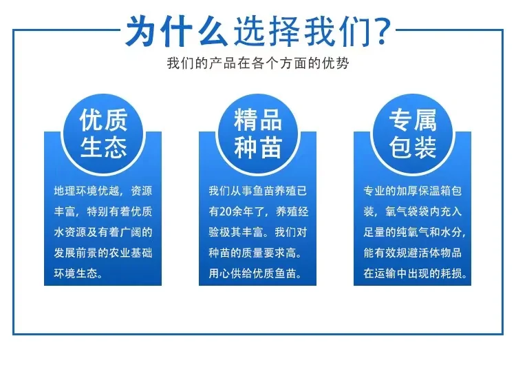 详情页 (4)