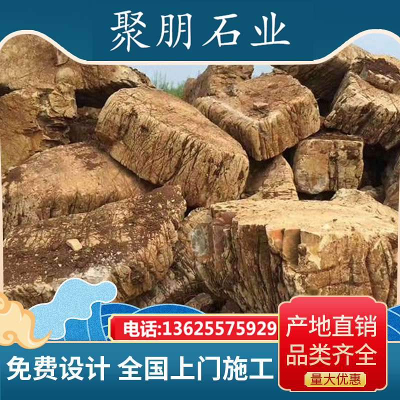 龟纹石 (8)