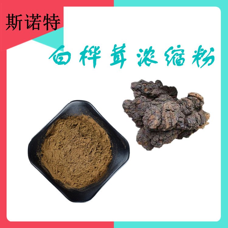 白桦茸 (5)