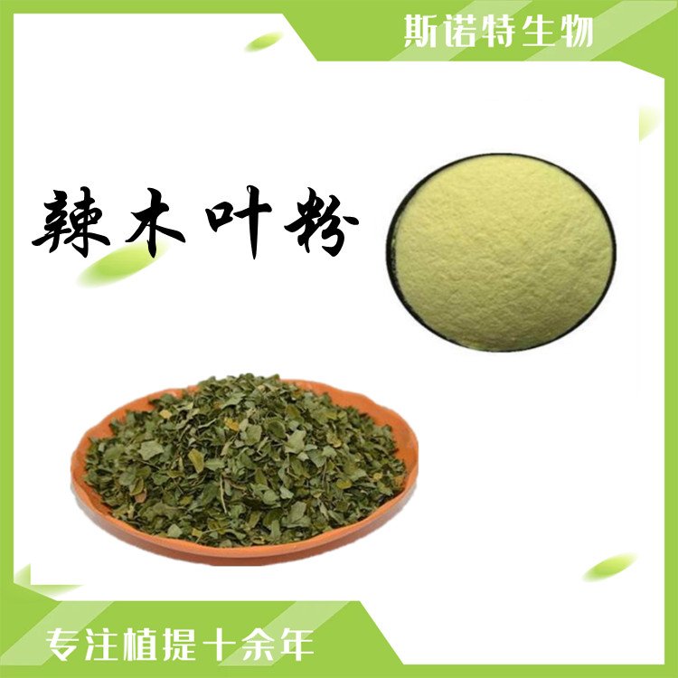 辣木叶 (6)