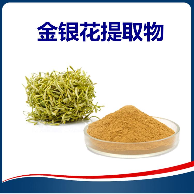 金银花 (27)
