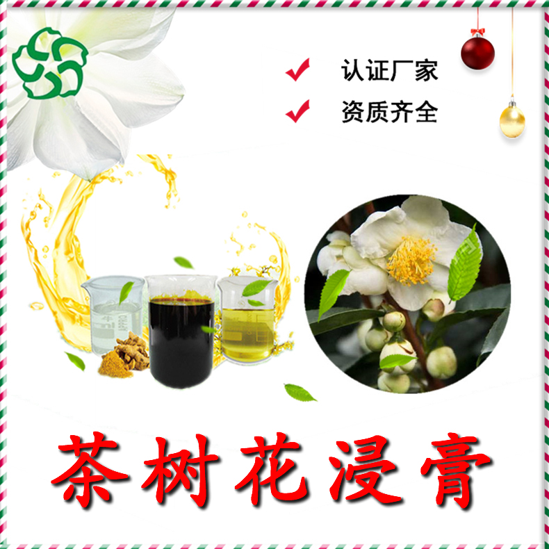 茶树花 (3)