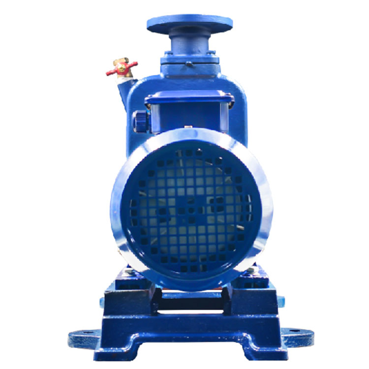 BFZX系列清水型自吸泵品牌厂家