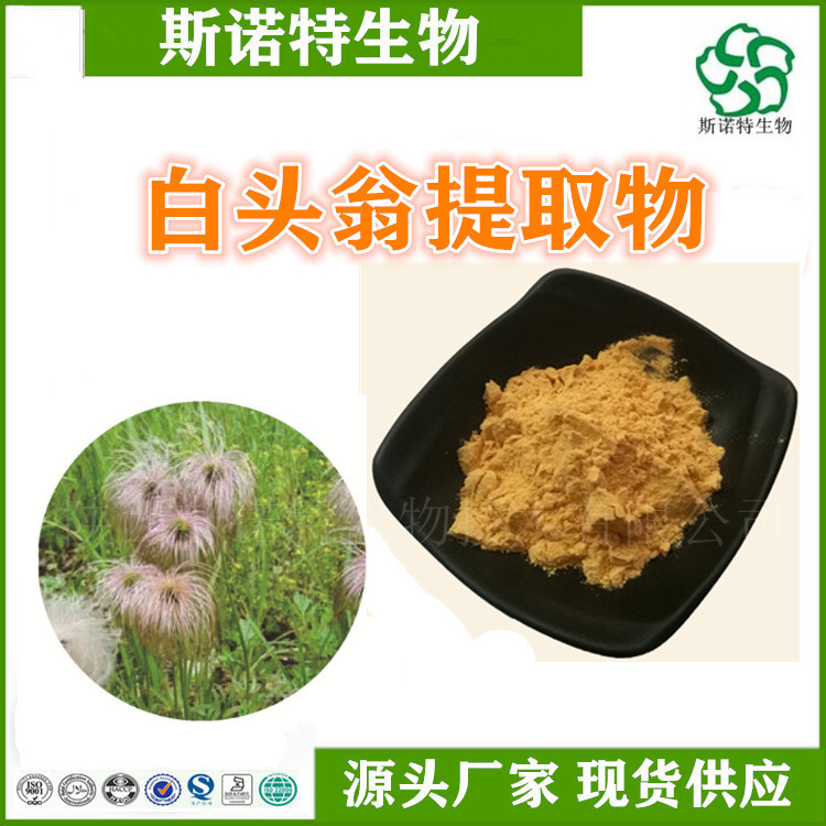 白头翁提取物 水溶性粉 粉末细腻 规格全可定制 支持拿样