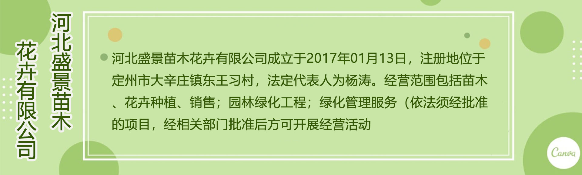 河北盛景苗木花卉有限公司