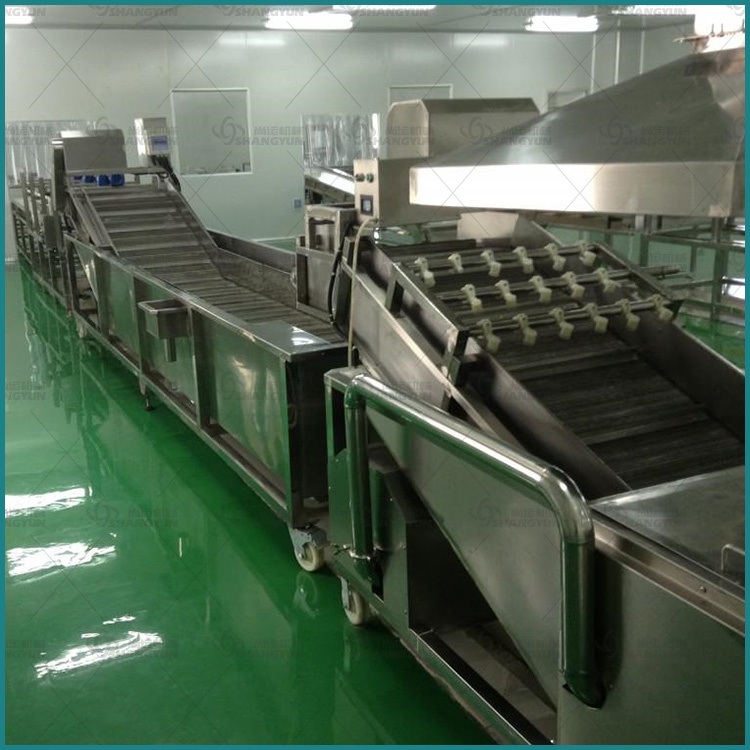 全自动清洗机 果蔬清洗设备