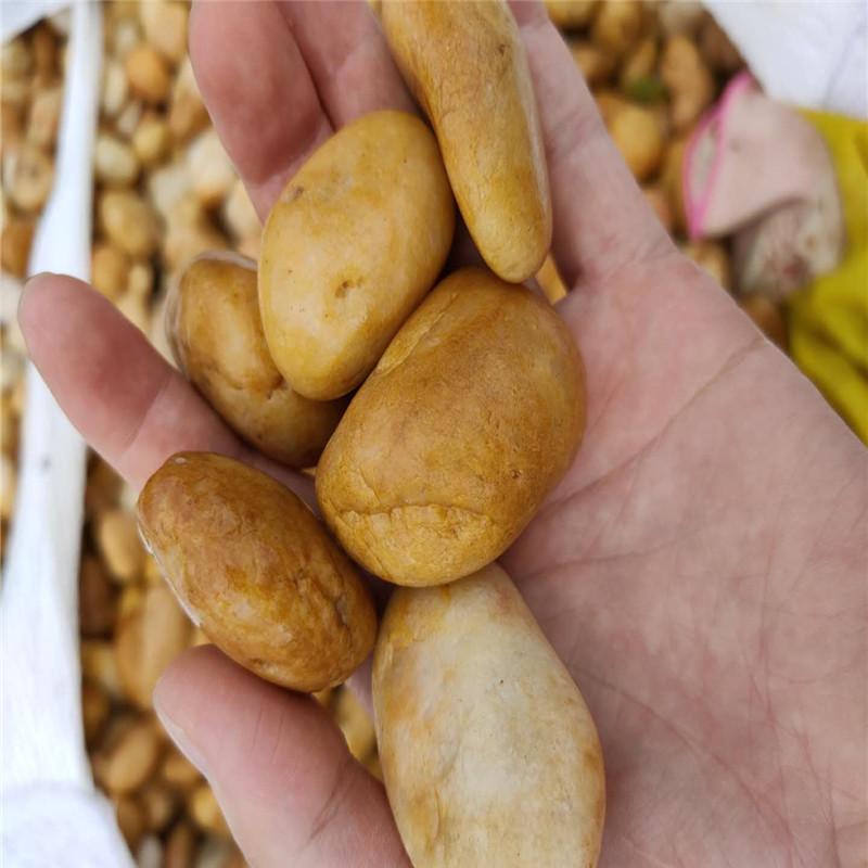 黄色鹅卵石 广西鹅卵石