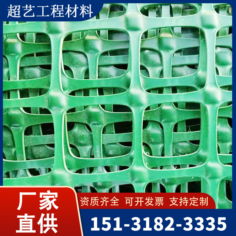 绿色塑料格栅 (16)