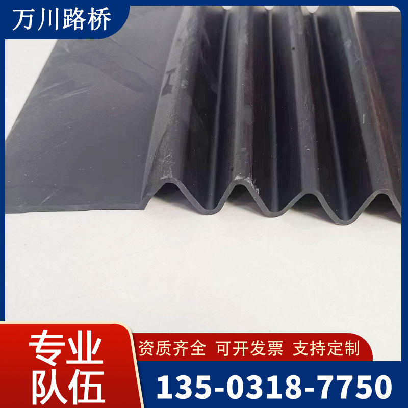 伸缩缝维修 (31)