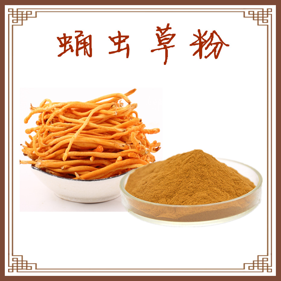 蛹虫草粉 (21)