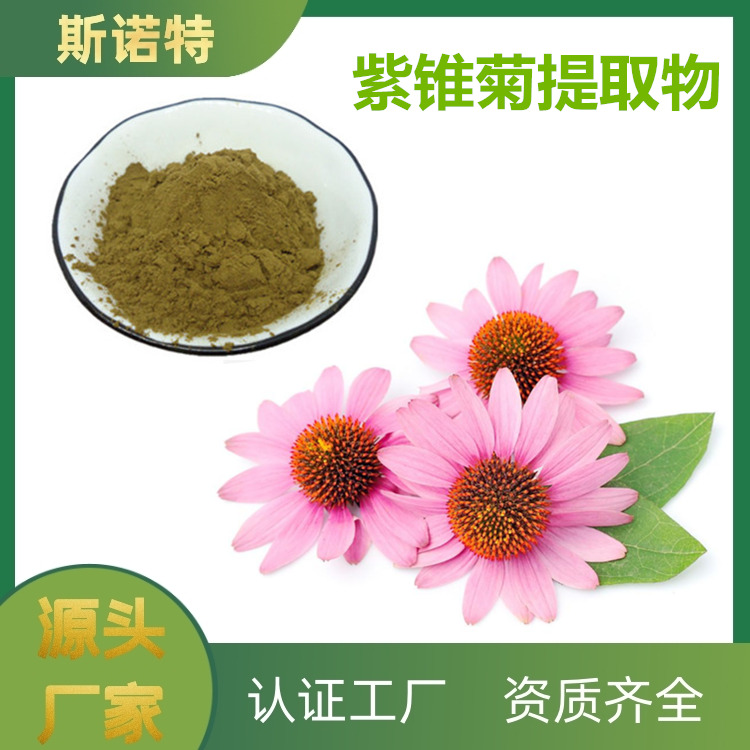 紫锥菊提取物 (10)
