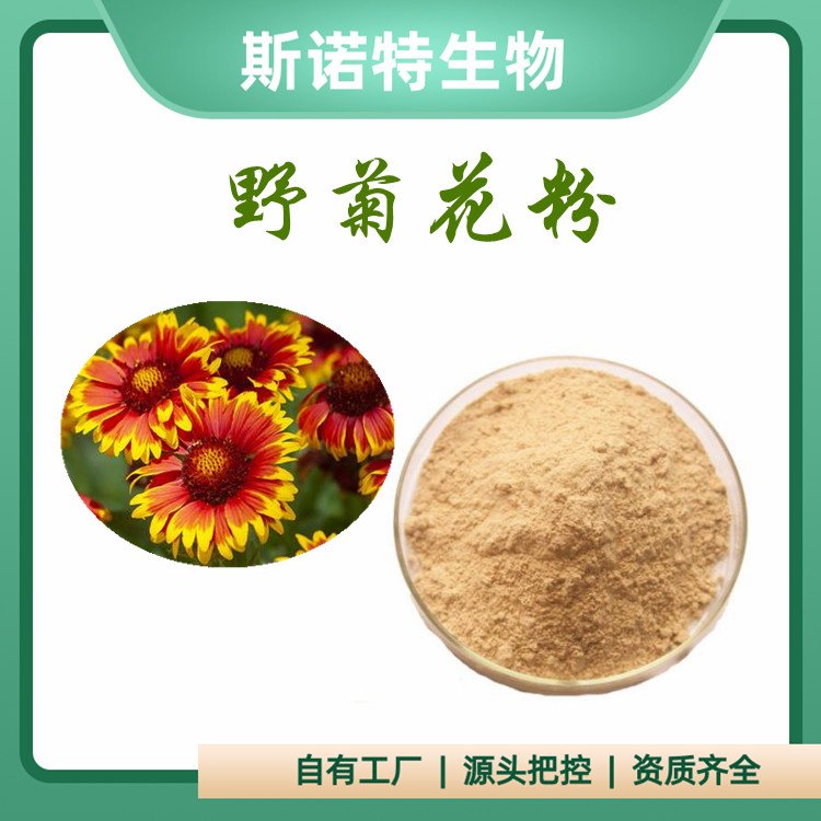 野菊花 (5)