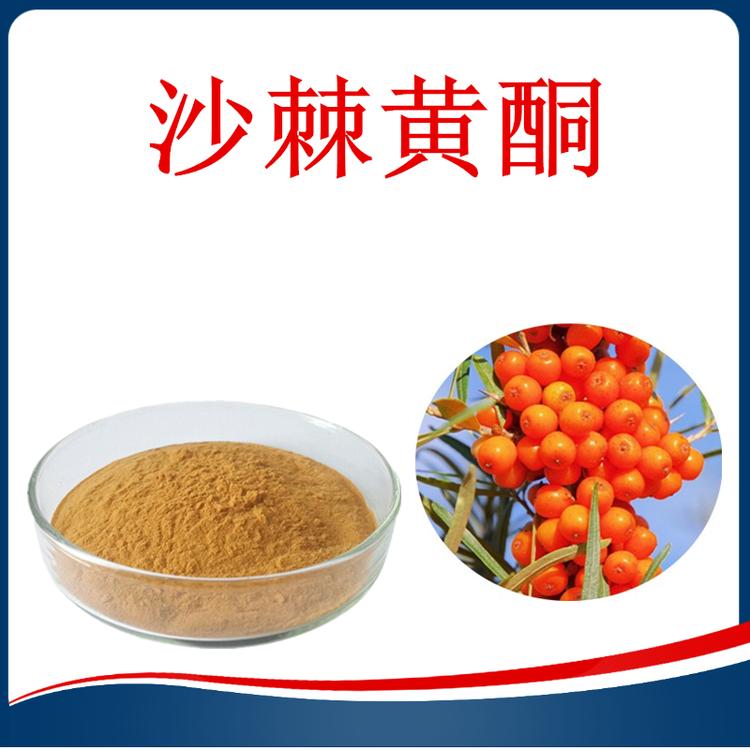 沙棘 (7)