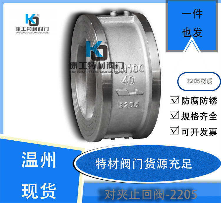 对夹止回阀-2205