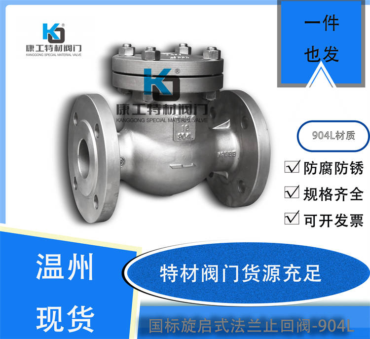 国标旋启式法兰止回阀-904L