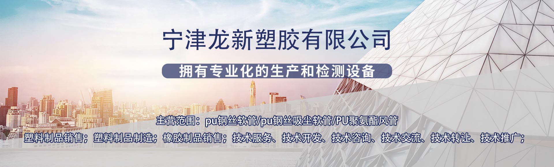 宁津龙新塑胶有限公司