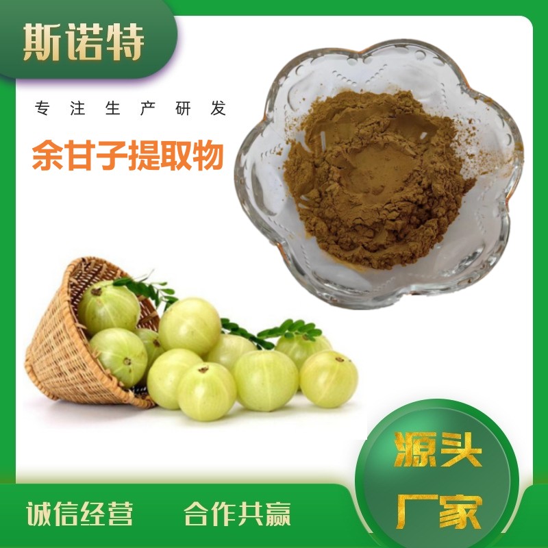 余甘子提取物 (10)