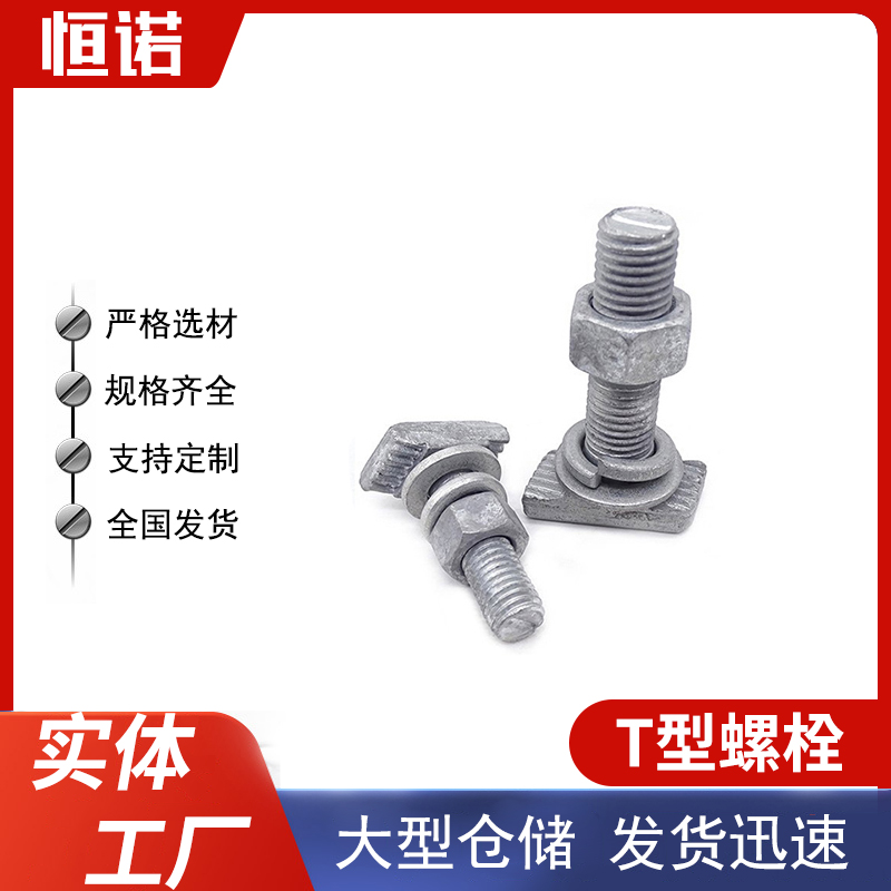 T型螺栓 (8)