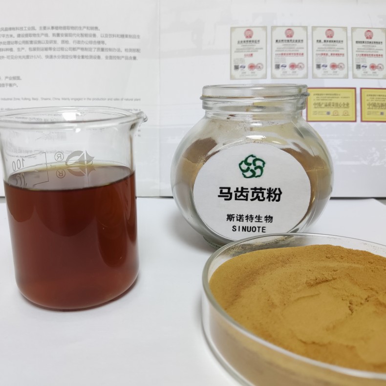 马齿苋提取物 (12)