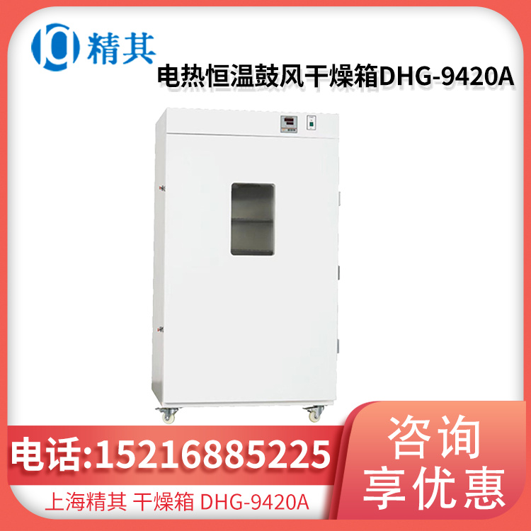 电热恒温鼓风干燥箱DHG-9420A