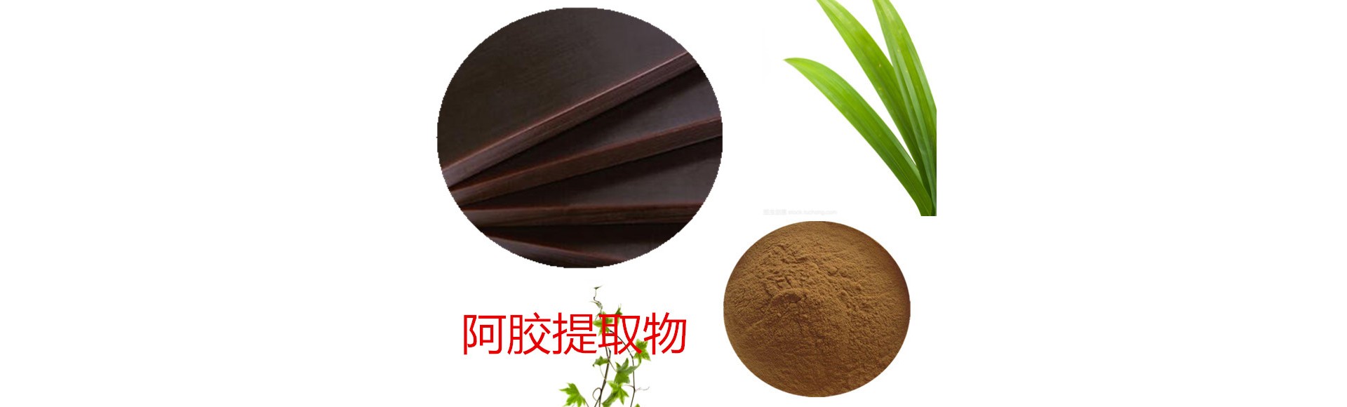 兰州沃特莱斯生物科技有限公司