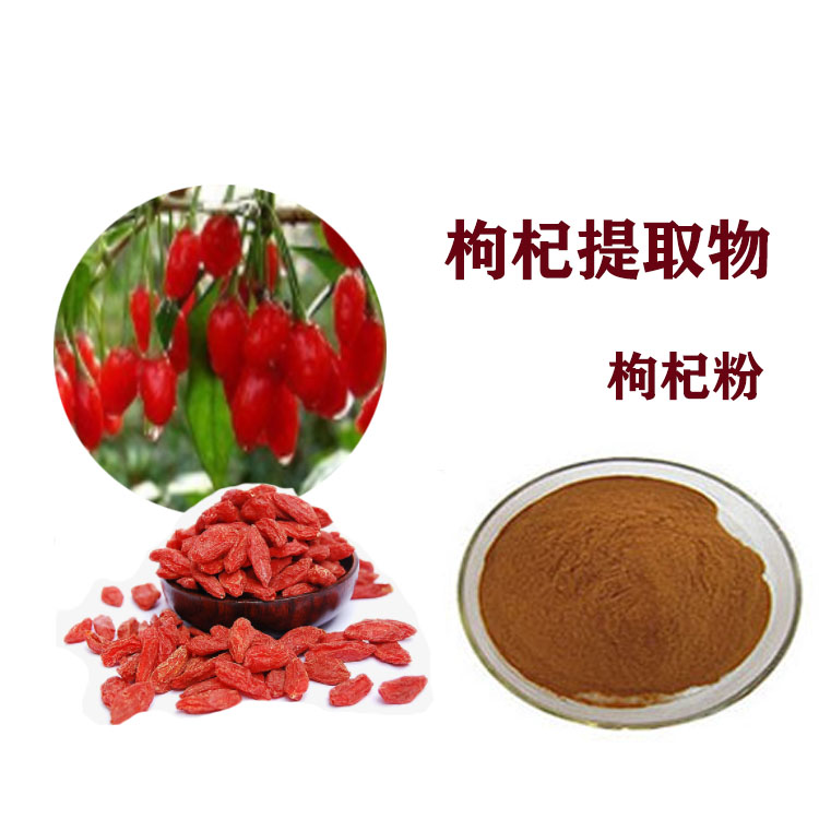 枸杞粉 提取物 喷雾干燥粉 枸杞多糖 多种规格 质量稳定