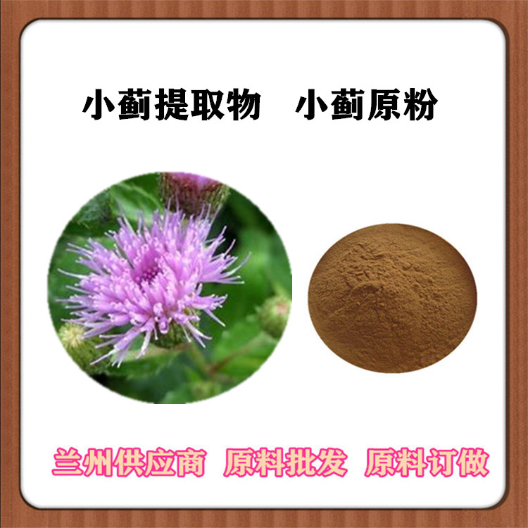 多规格小蓟提取物20:1 原粉 浸膏粉 订做提取液 沃特莱斯供应