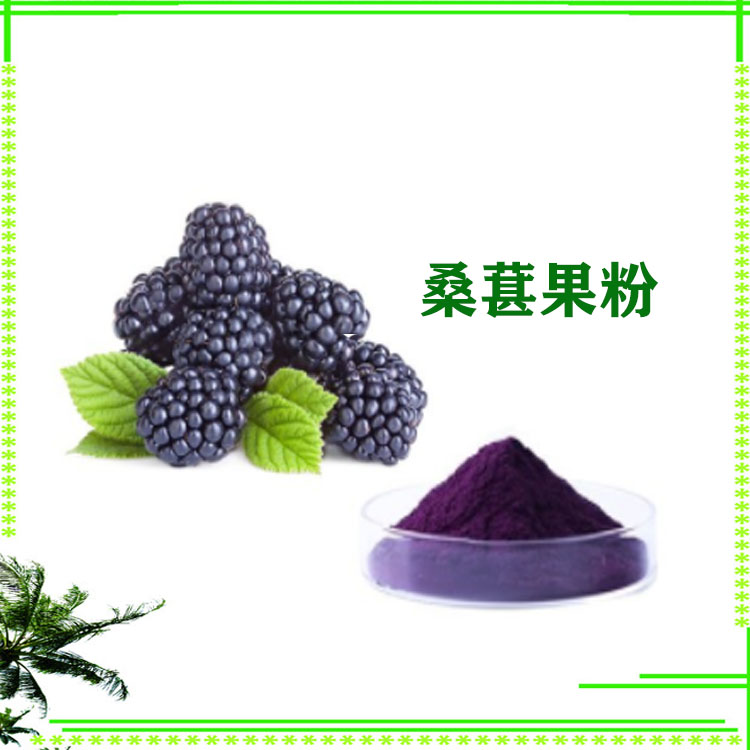 桑葚粉 提取物 喷雾干燥粉 12目精细粉末 质量稳定