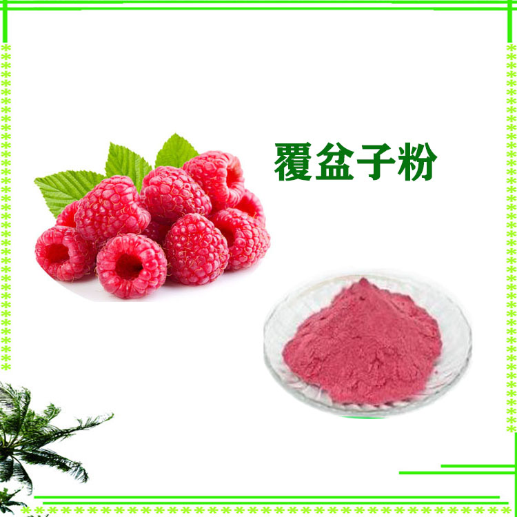 水溶性覆盆子粉 原粉 提取液 沃特莱斯生物 支持拿样