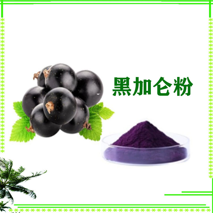 黑加仑粉 速溶粉 膳食纤维粉 精细粉末 质量稳定