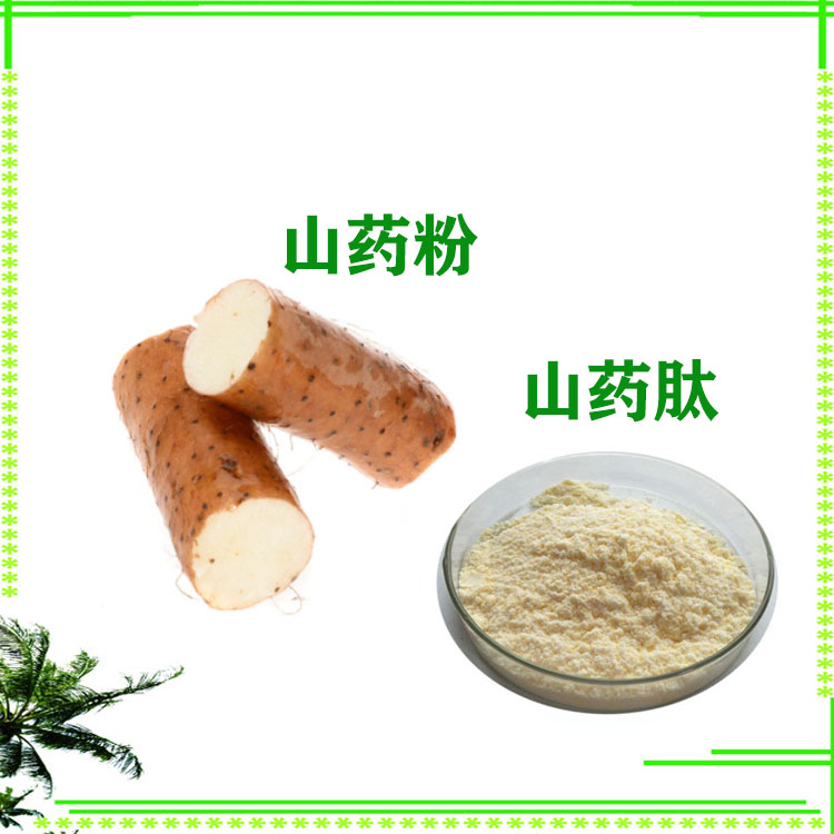 山药粉 提取物 山药小分子肽 120目精细粉末 支持拿样