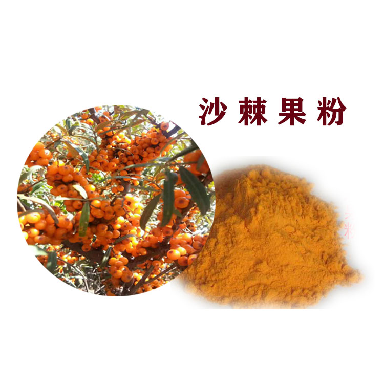 沙棘果粉 沙棘黄酮 提取物 各种规格 可定制