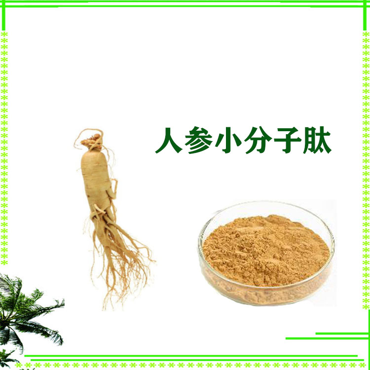 人参提取物 速溶粉 小分子肽 粉末细腻 水溶性好 可寄样